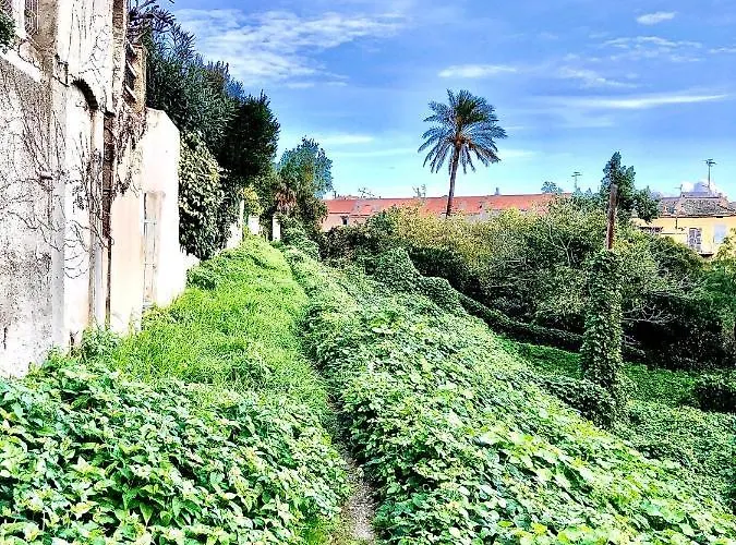 Campana - Centre * Bastia (Corsica)