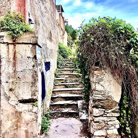 Campana - Centre Appartamento *