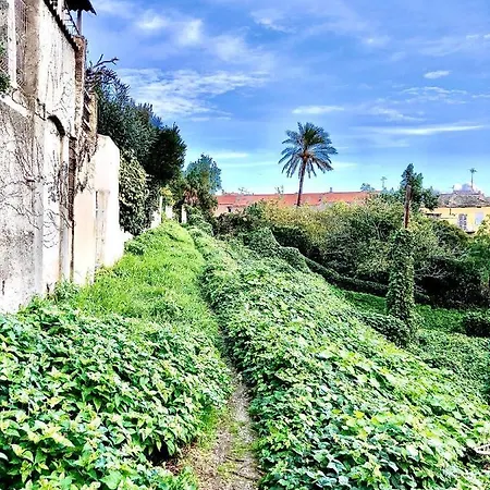 Campana - Centre * Bastia (Corsica)