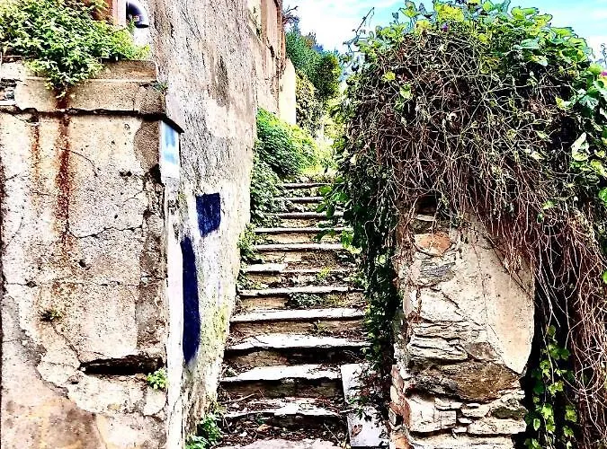 Campana - Centre Apartmán *